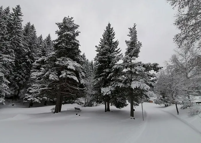 Bergperle Apartments&Mountain Sport