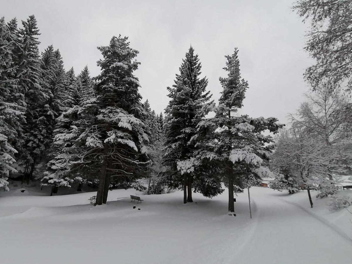 Bergperle Apartments&mountain Sport Apartment *