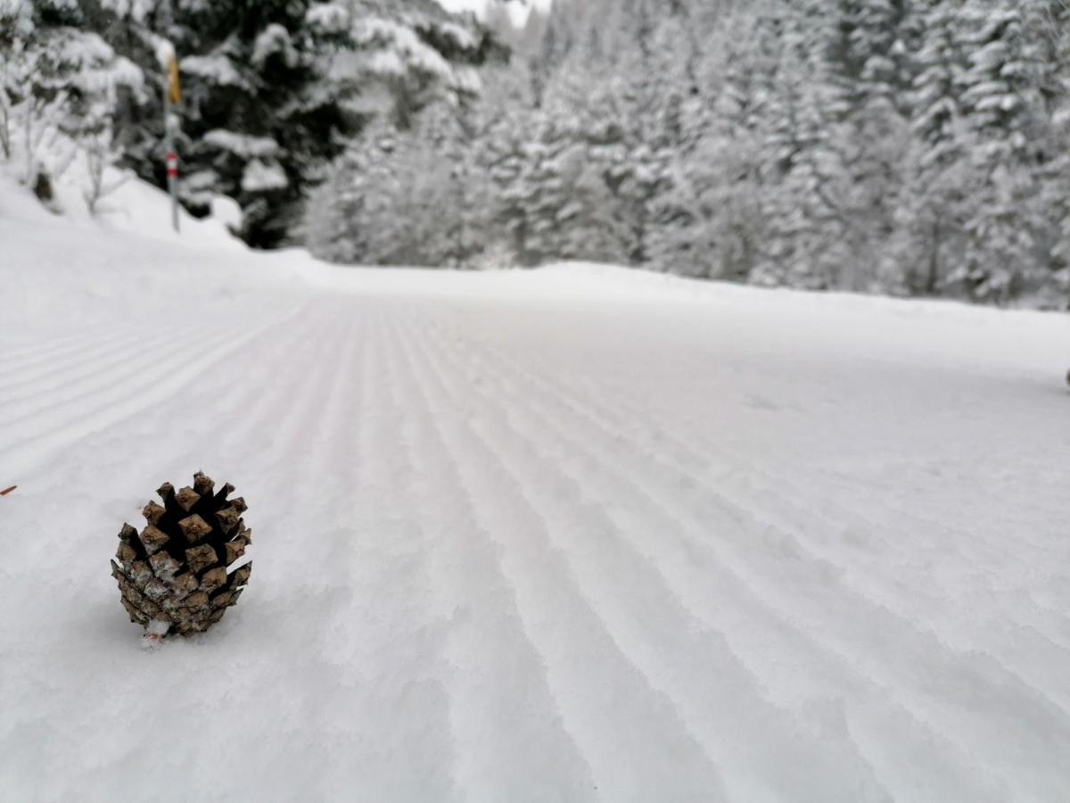 Bergperle Apartments&mountain Sport *